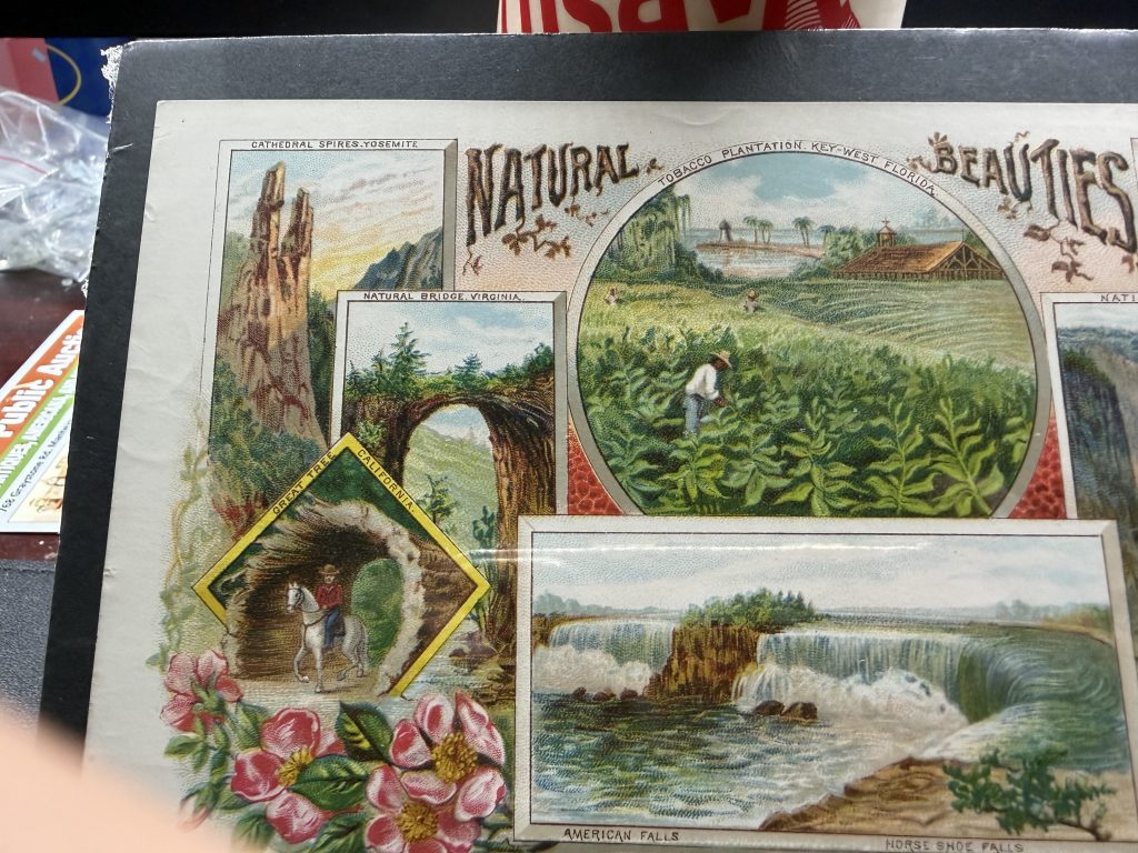 1890 Kruger & Braun Cigar Label Salesman Sample Natural Beauties Goerck St view 11