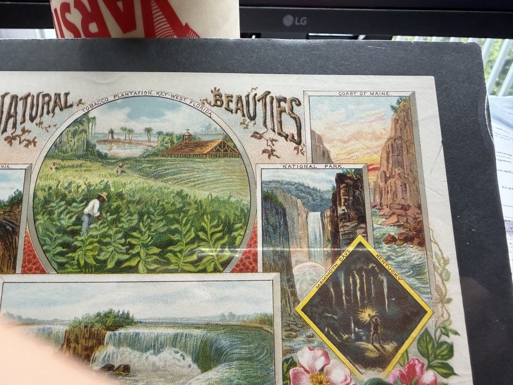 1890 Kruger & Braun Cigar Label Salesman Sample Natural Beauties Goerck St view 10
