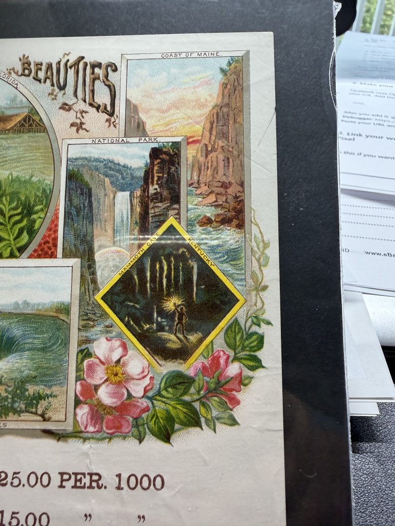 1890 Kruger & Braun Cigar Label Salesman Sample Natural Beauties Goerck St view 8