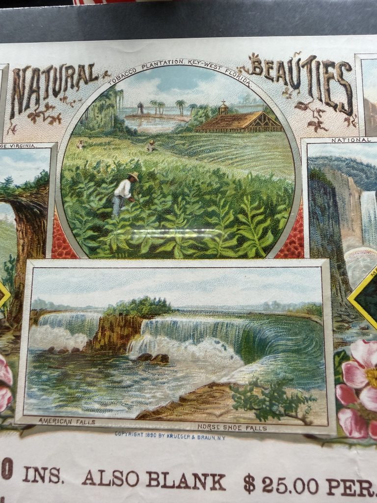 1890 Kruger & Braun Cigar Label Salesman Sample Natural Beauties Goerck St view 5