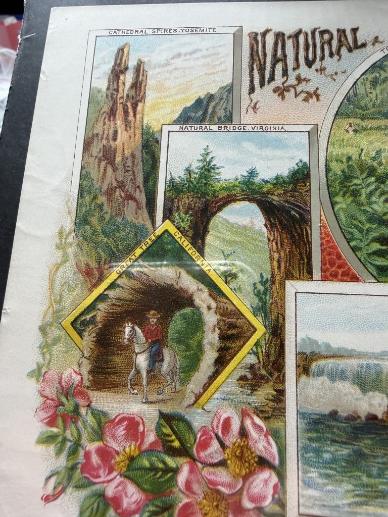 1890 Kruger & Braun Cigar Label Salesman Sample Natural Beauties Goerck St view 4